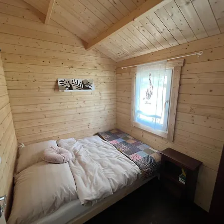 Vi Mirotki 12 Imwald Bory Tucholskie * Skorcz