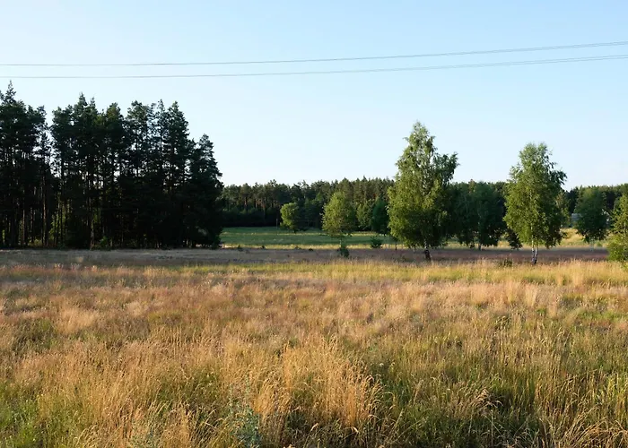 Vi Mirotki 12 Imwald Bory Tucholskie Feriehus Skorcz