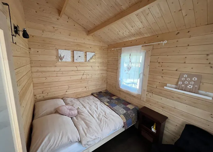 Vi Mirotki 12 Imwald Bory Tucholskie Feriehus *