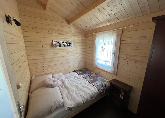 Vi Mirotki 12 Imwald Bory Tucholskie * Skorcz